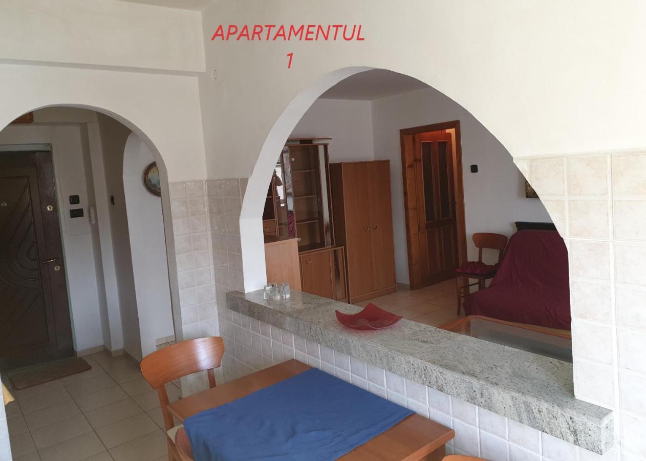 Apartament Cu 2 Camere,Ultracentral In อาราด ภายนอก รูปภาพ